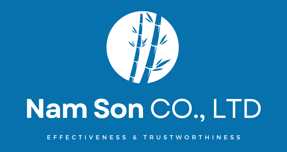 logo nam son